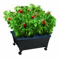 City Pickers Raised Bed Grow Box, Self Watering and Improved Aeration, Mobile Unit with Casters 2340W-1